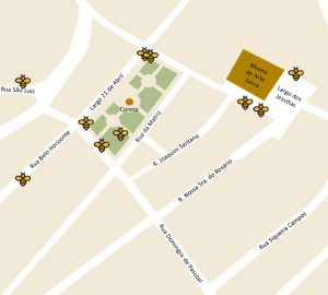 Abelhas Sem Ferrão Embu das Artes