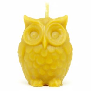 Veja Coruja em Cera de Abelha Natural