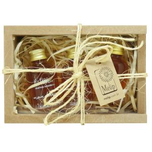 Kit Presente com 3 Méis de Abelhas Nativas