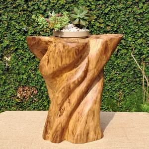 Casa Jataí Tronco Aleluia